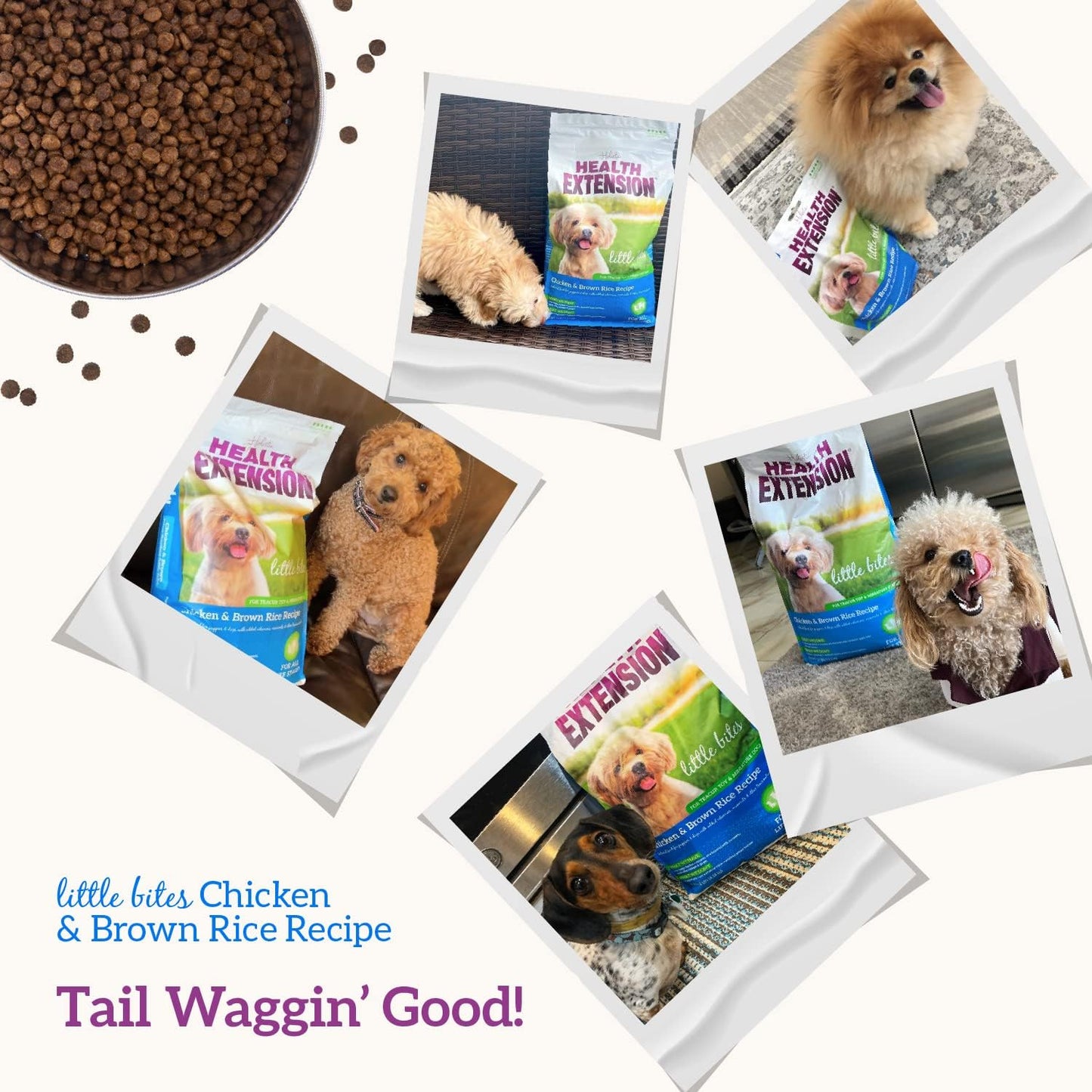 Little Bites Dry Dog Food for Small Breeds, Chicken & Brown Rice Recipe, with Probiotics & Superfoods for Digestion & Coat Health, 10 Lb Bag (Pack of 1)