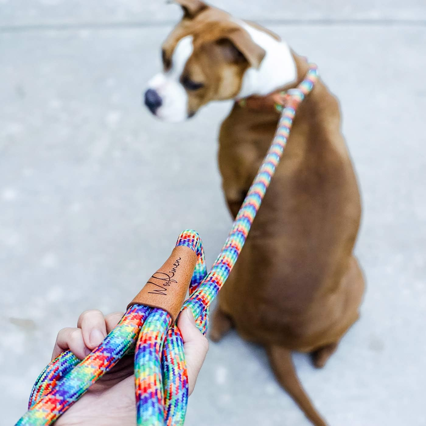 7Ft Ultra Reflective (Rainbow) Fatty Series Premium Dog Slip Leash - Made from Large Gauge Mountain Climbing Rope - Make a Statement While Walking the Strongest of Pullers