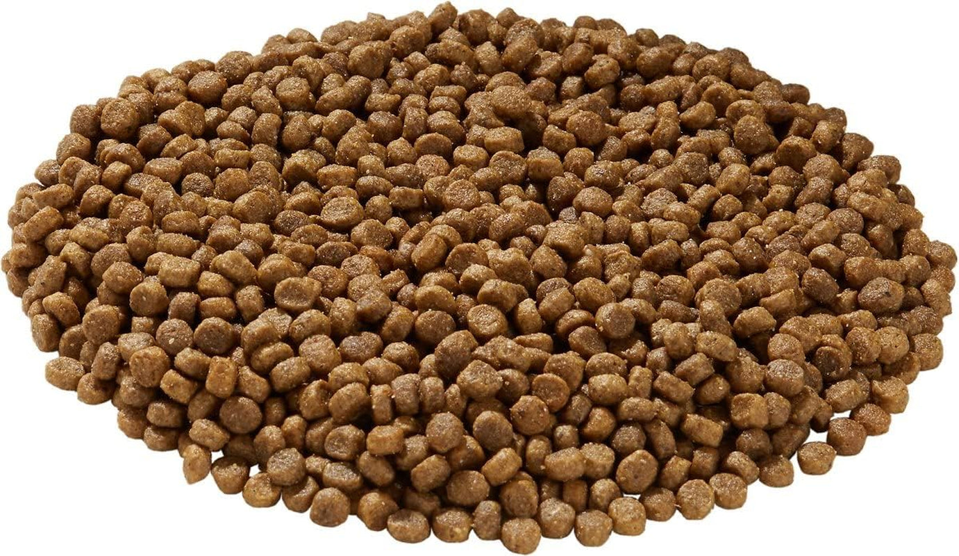 Little Bites Dry Dog Food for Small Breeds, Chicken & Brown Rice Recipe, with Probiotics & Superfoods for Digestion & Coat Health, 10 Lb Bag (Pack of 1)