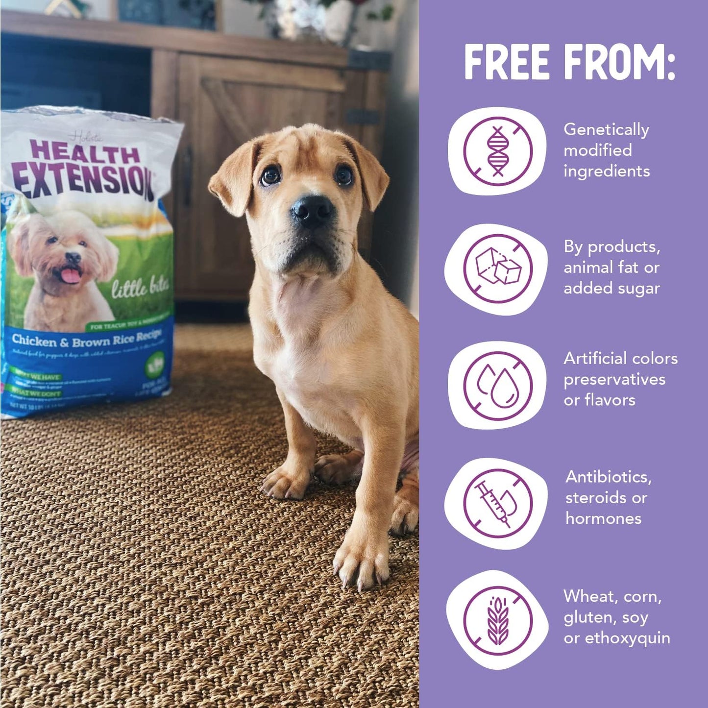 Little Bites Dry Dog Food for Small Breeds, Chicken & Brown Rice Recipe, with Probiotics & Superfoods for Digestion & Coat Health, 10 Lb Bag (Pack of 1)
