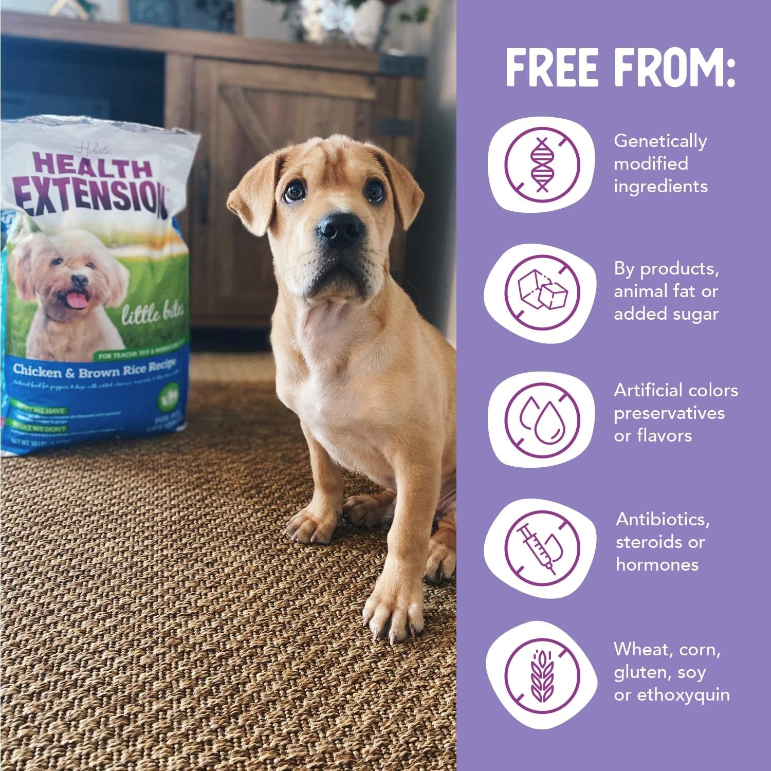 Little Bites Dry Dog Food for Small Breeds, Chicken & Brown Rice Recipe, with Probiotics & Superfoods for Digestion & Coat Health, 10 Lb Bag (Pack of 1)
